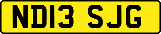 ND13SJG