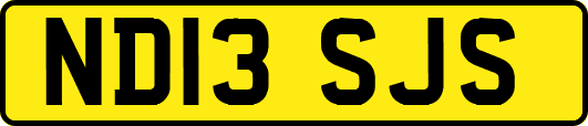 ND13SJS