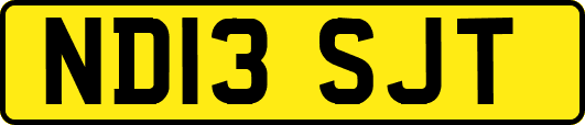 ND13SJT