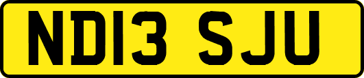 ND13SJU