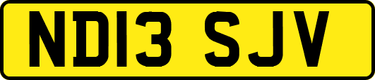 ND13SJV