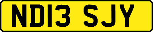 ND13SJY