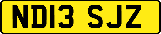 ND13SJZ