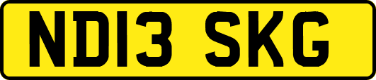 ND13SKG