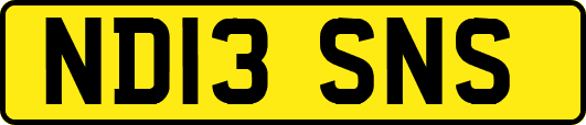ND13SNS