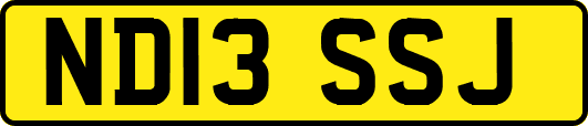 ND13SSJ