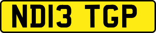 ND13TGP