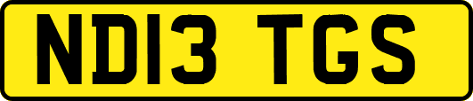 ND13TGS