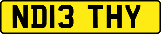 ND13THY