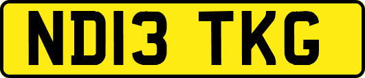ND13TKG