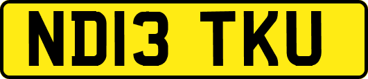 ND13TKU