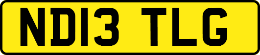 ND13TLG