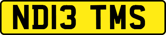ND13TMS