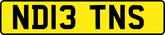 ND13TNS