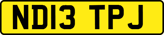 ND13TPJ