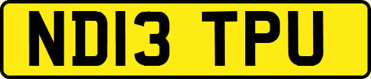 ND13TPU