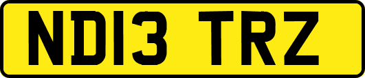 ND13TRZ