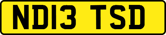 ND13TSD