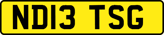 ND13TSG