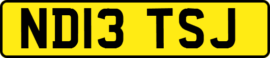 ND13TSJ