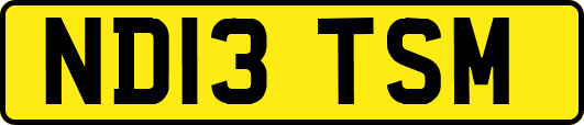 ND13TSM