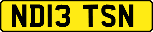 ND13TSN