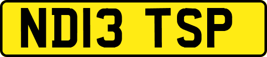 ND13TSP