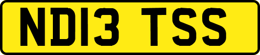 ND13TSS