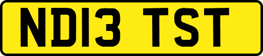 ND13TST
