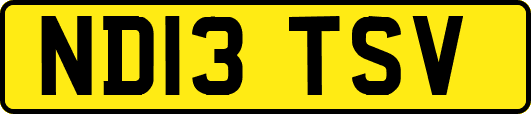 ND13TSV