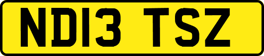 ND13TSZ
