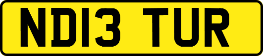 ND13TUR