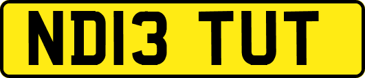 ND13TUT