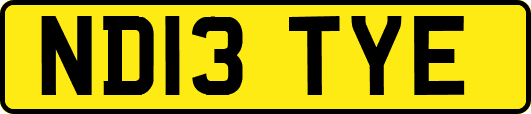 ND13TYE