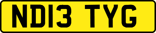 ND13TYG
