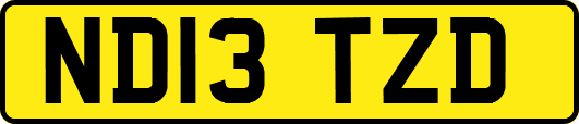 ND13TZD