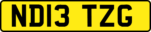 ND13TZG