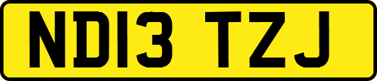ND13TZJ