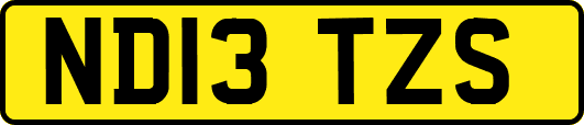 ND13TZS