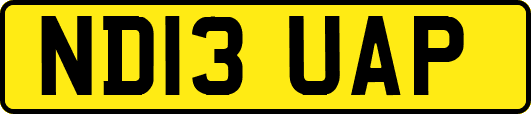 ND13UAP