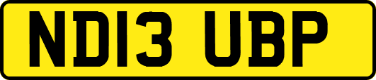 ND13UBP