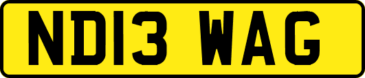 ND13WAG