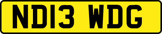 ND13WDG