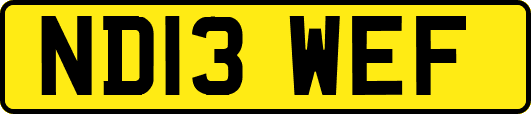 ND13WEF