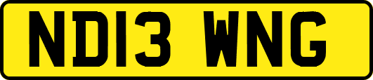 ND13WNG