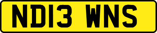 ND13WNS
