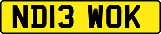 ND13WOK