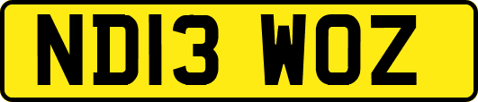 ND13WOZ