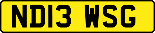 ND13WSG
