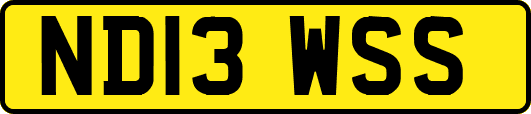 ND13WSS